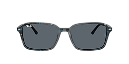 Ray-Ban Sunglasses RB2231 RAIMOND