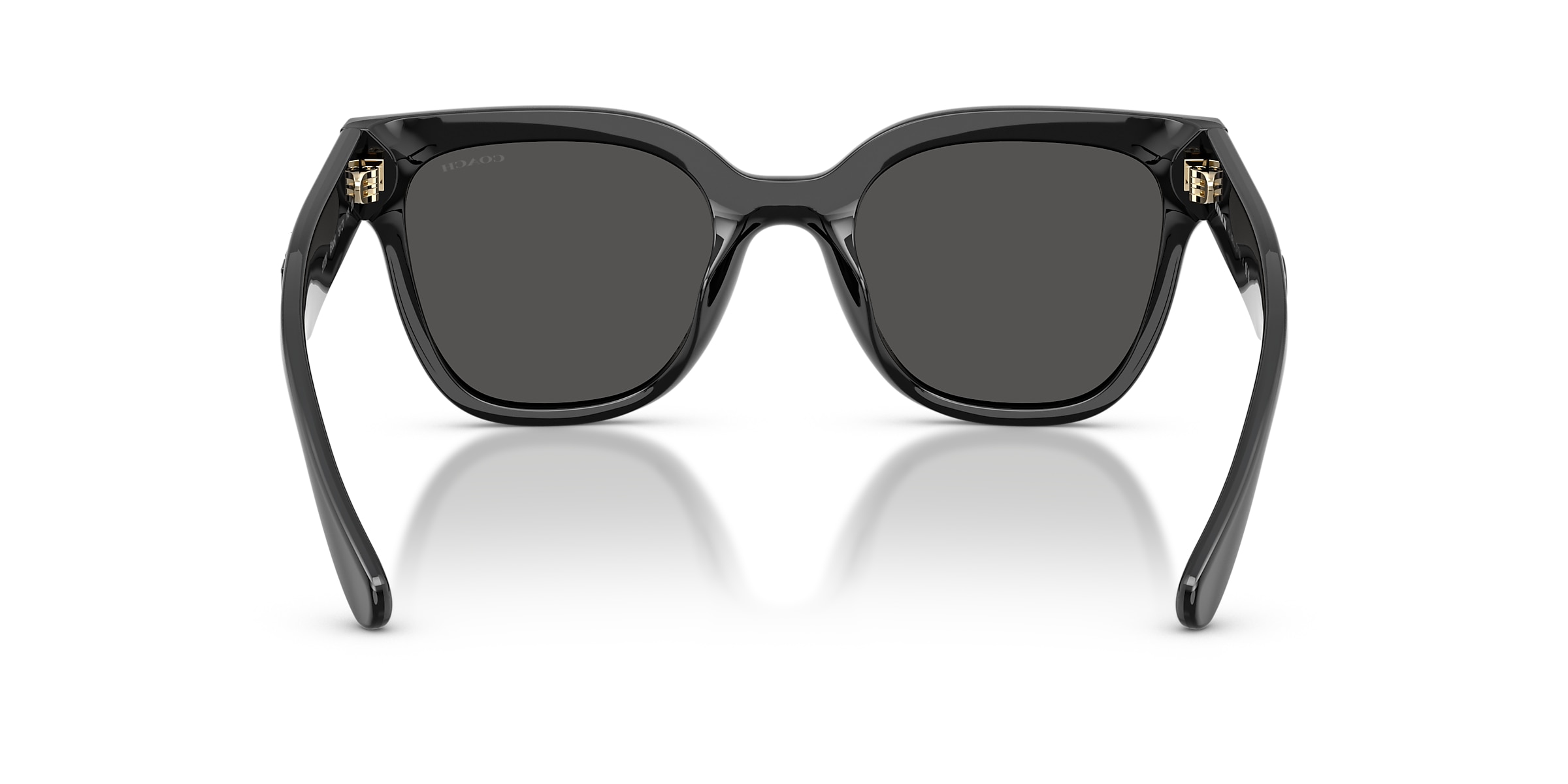 Coach Sunglasses HC8460U CFT88
