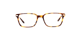 Clearly Glasses BIXBY
