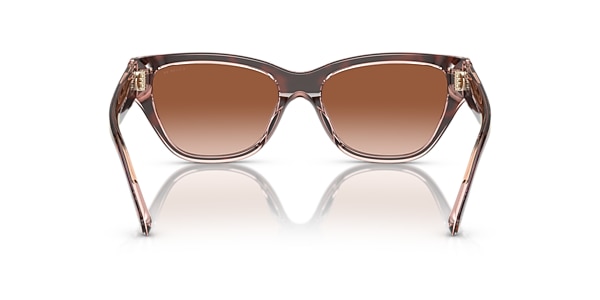 Coach Sunglasses HC8370U CH570