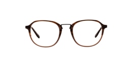 Clearly Glasses FISHER