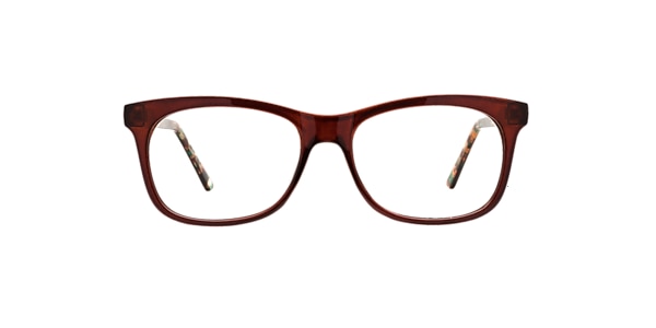 Clearly Glasses HAMILTON