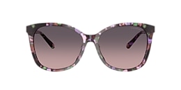 Coach Sunglasses HC8271U L1101