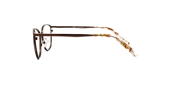 Clearly Glasses CASHMERE