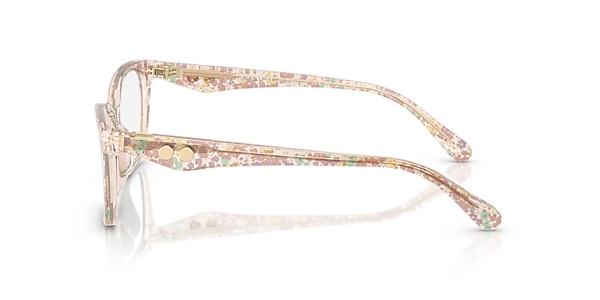 Coach Glasses HC6248U