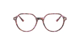 Ray-Ban Glasses RB5395F THALIA OPTICS