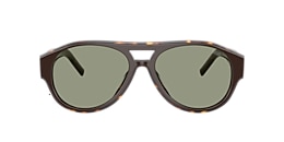 Diesel Sunglasses DL2023U