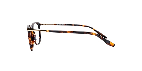 Clearly Glasses SOGEN