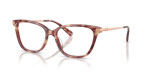 Coach Glasses HC6303U