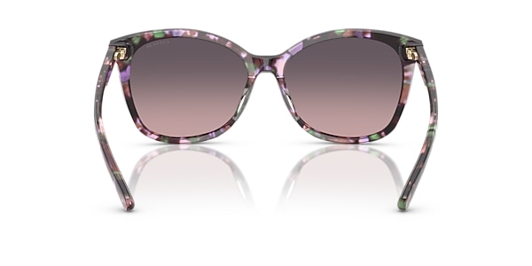 Coach Sunglasses HC8271U L1101