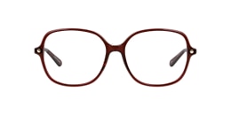 Clearly Glasses ELEPHANT