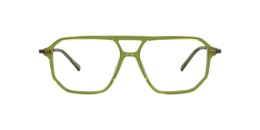 Clearly Glasses TIGER
