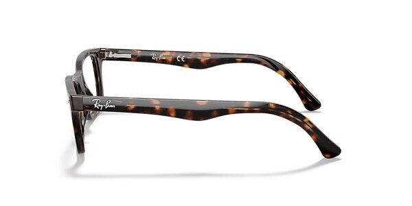 RB5228 OPTICS