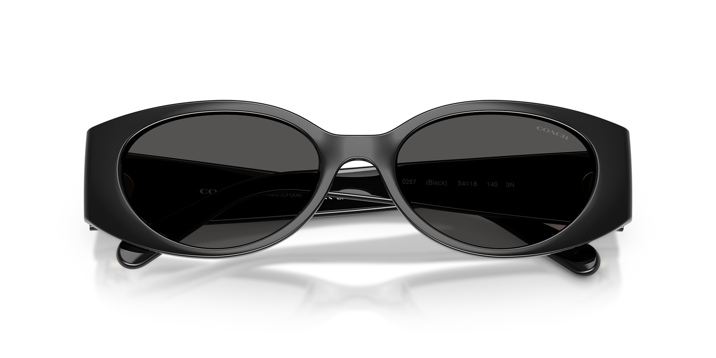 Coach Sunglasses HC8462U CFU06