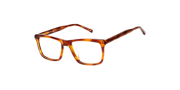 Clearly Glasses ANDROMEDA