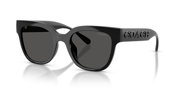 Coach Sunglasses HC8460U CFT88