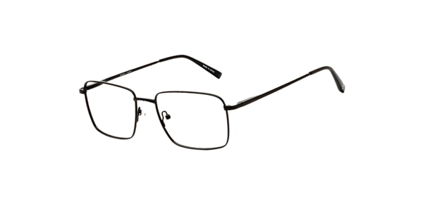 Clearly Glasses STONEWALL
