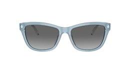 Emporio Armani Sunglasses EA4227U