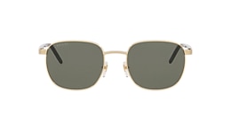 Gucci Sunglasses GG1799S