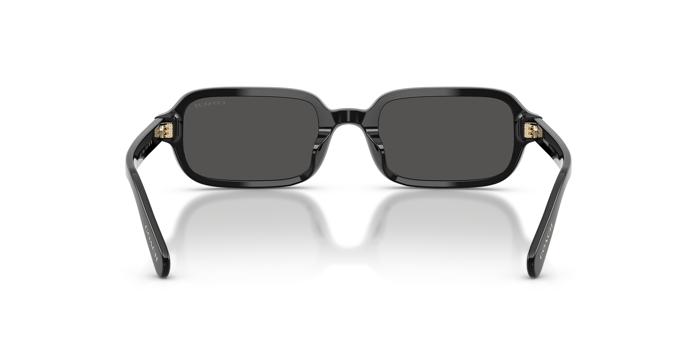 Coach Sunglasses HC8465U CFU11