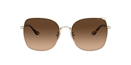 Coach Sunglasses HC7133 C7997
