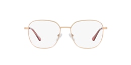 Clearly Glasses BARKERVILLE