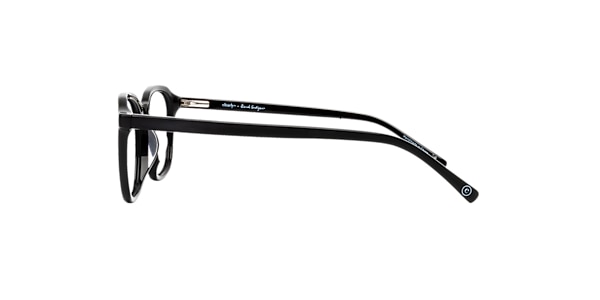 Clearly Glasses CARINA