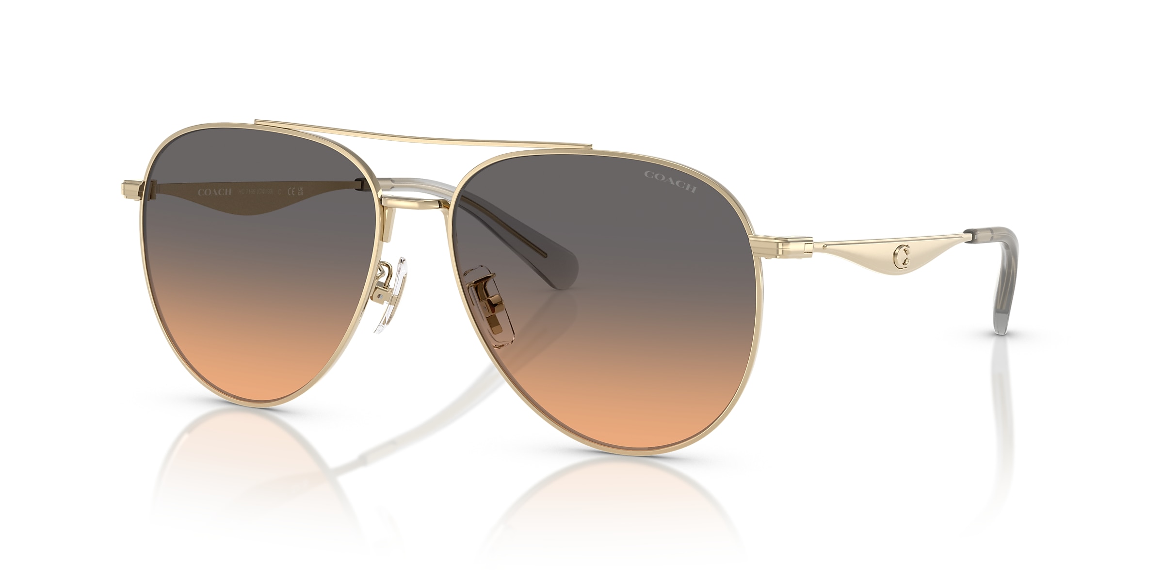 Coach Sunglasses HC7169 CW193