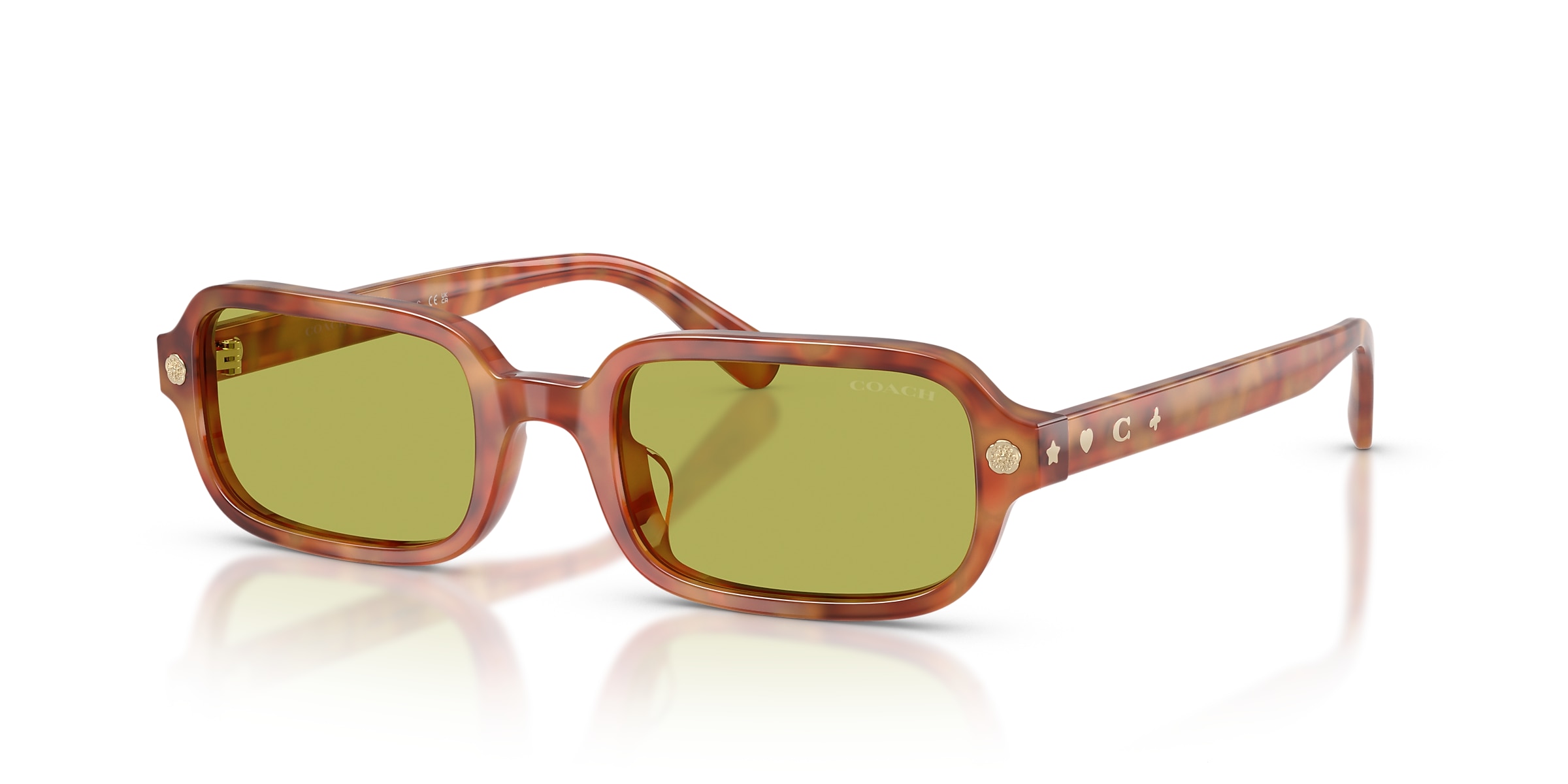 Coach Sunglasses HC8465U CFU11