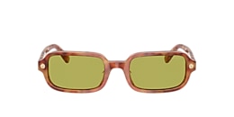 Coach Sunglasses HC8465U CFU11