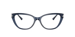 Jimmy Choo Glasses JC3011