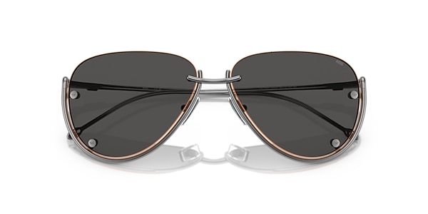 DL1003