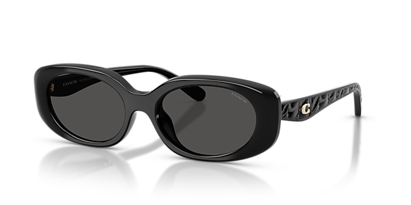 Coach Sunglasses HC8443D CBY84