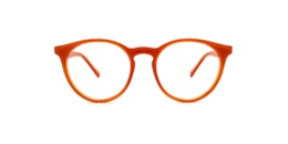 Clearly Glasses OWL
