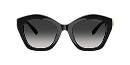 Coach Sunglasses HC8421U CAD31