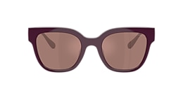 Coach Sunglasses HC8460U CFT88