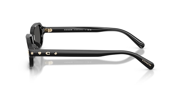 Coach Sunglasses HC8465U CFU11