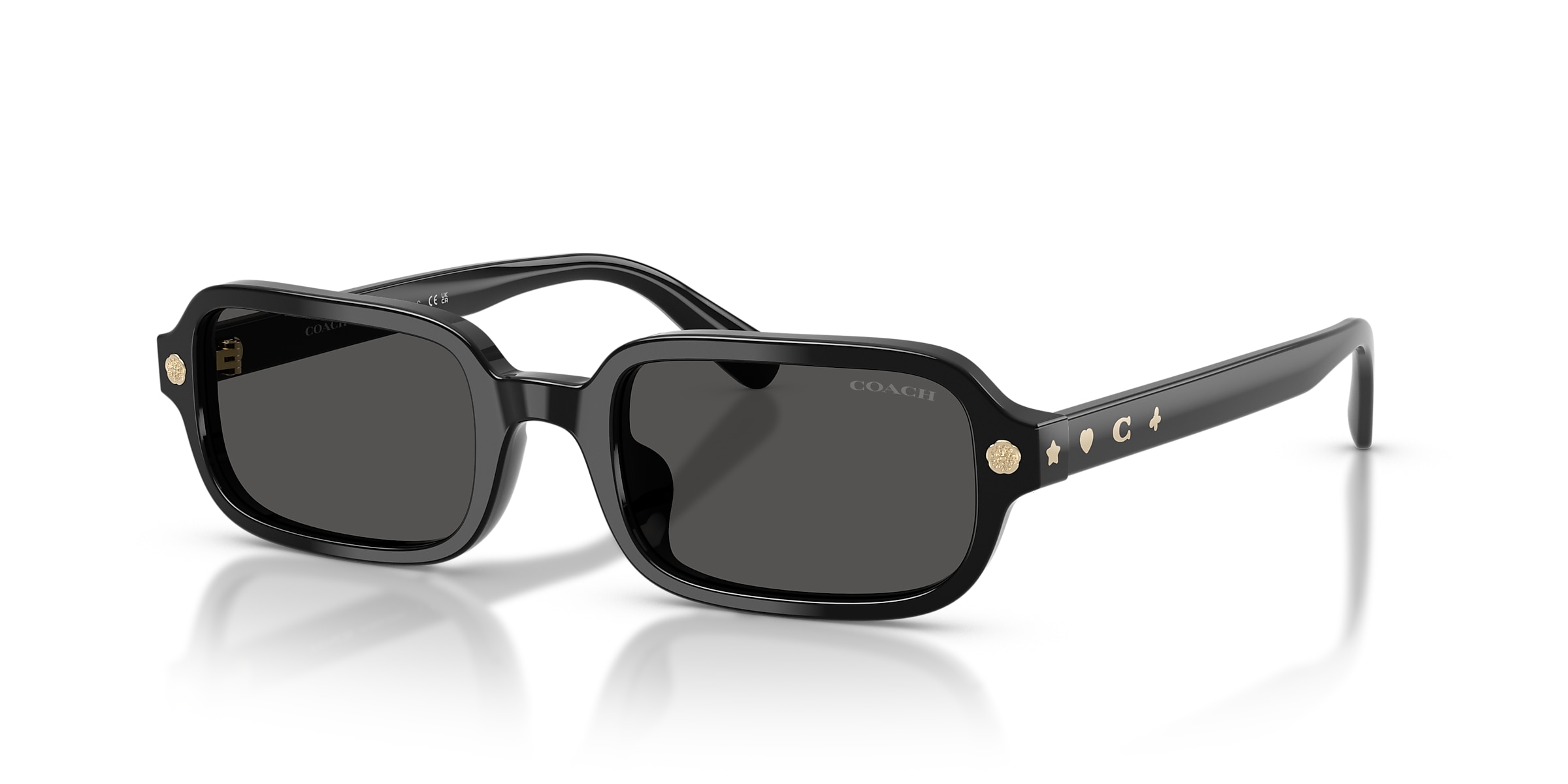 Coach Sunglasses HC8465U CFU11