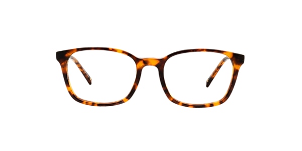 Clearly Glasses TARVOS