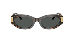 Versace Sunglasses VE4501