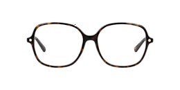 Clearly Glasses ELEPHANT