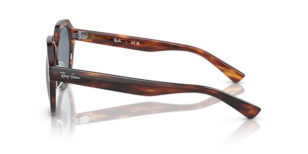 RB4399 GINA