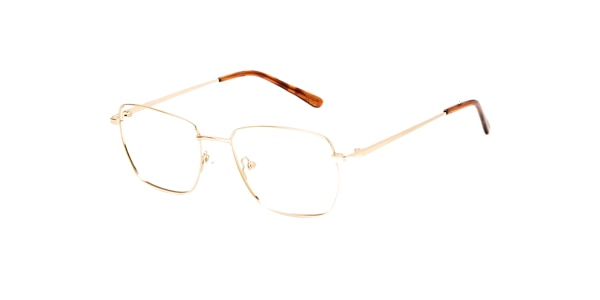 Clearly Glasses MCADAM