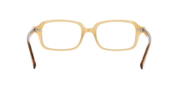 Clearly Glasses ADASTRA