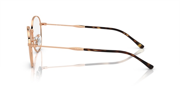 RB6509 OPTICS
