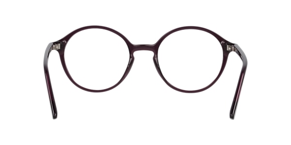 Clearly Glasses SHORE PINE