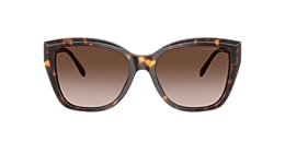 Emporio Armani Sunglasses EA4198