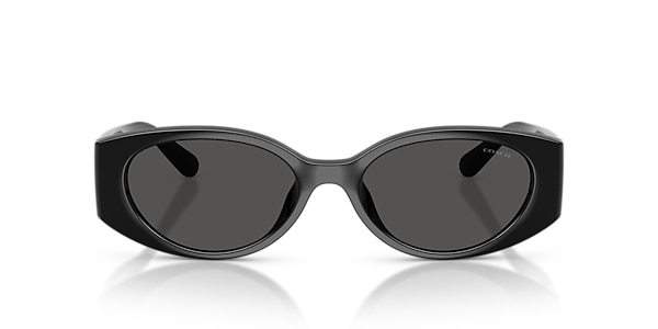 Coach Sunglasses HC8462U CFU06