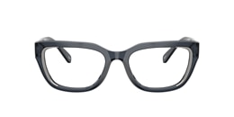 Diesel Glasses DL4003