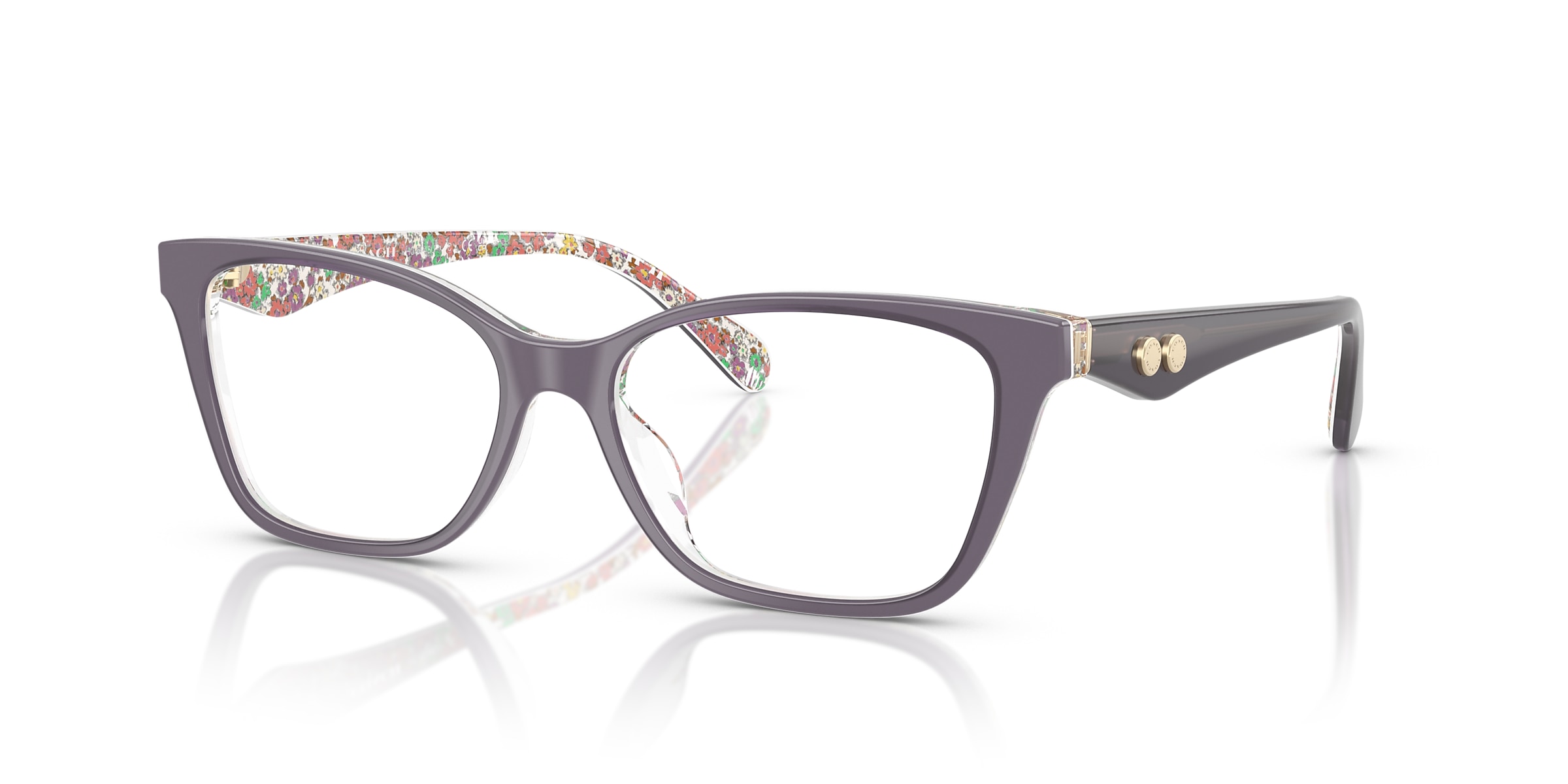 Coach Glasses HC6248U
